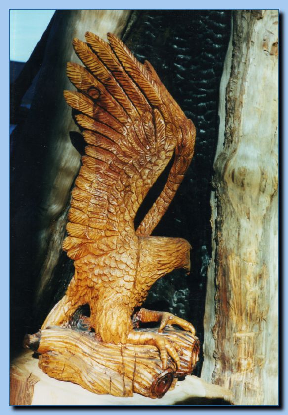 2-19 eagle with wings up, attached-archive-0002
